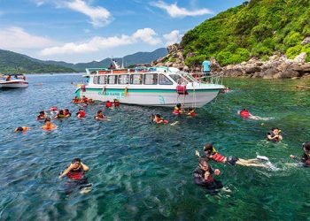 Cham Island Day Tour from Da Nang