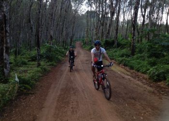 Cycling Adventure
