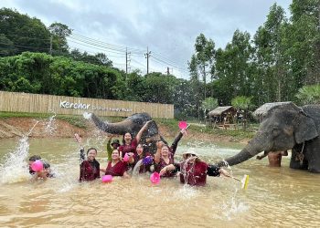 Elephant Family Phuket Sanctuary Half Day Visit