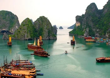 Group Halong