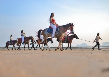 Krabi – Horse riding