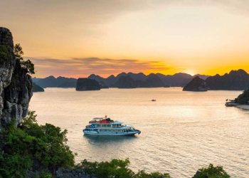 Premium Cruise