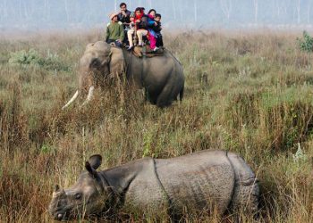 3D2N Chitwan National