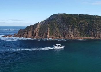 Cape Woolamai Morning Cruise at Phillip Island