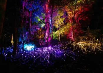 Dream Forest Langkawi Tickets