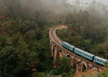 Ella Day Tour - Departing from Any Location in Sri Lanka 3