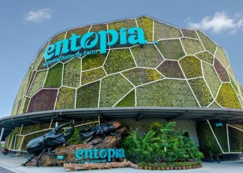 Entopia by Penang Butterfly Farm Tickets