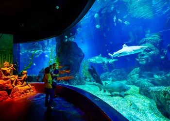 Entry to SeaLife Bangkok