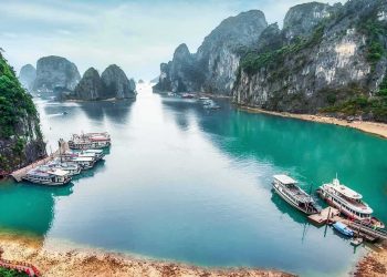 Halong Bay Day Tour by Thang Loi Cruise