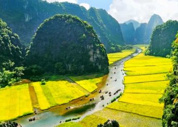 Hoa Lu and Tam Coc Day Tour from Hanoi