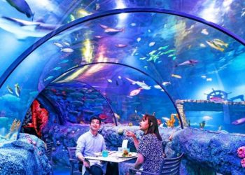 LEGOLAND® Malaysia SEA LIFE