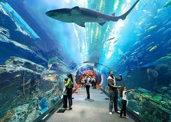 Langkawi Underwater World Tickets