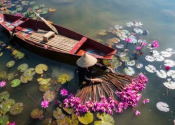 Mekong Delta