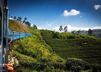 Nuwara Eliva Private Day Tour From Ella