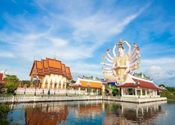 Sightseeing Excursion 1