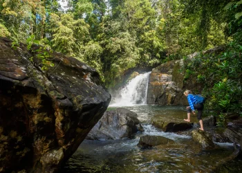Sinharaja Forest Reserve