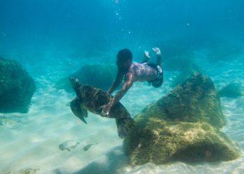 Snorkeling with Sea