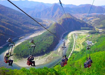 ZipFlyer Nepal 1