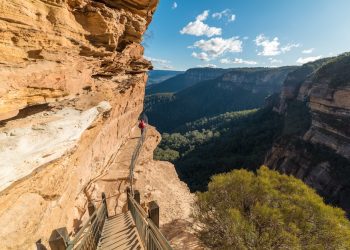 Blue Mountains Off the Beaten Path Guided Bushwalks, Secret Lookouts & BBQ Lunch