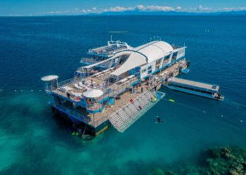 Cairns to Great Barrier Reef Cruise with Lunch and Guided Snorkeling