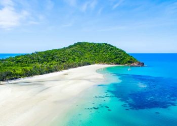 Cape Tribulation Day Tour with Optional River Cruise