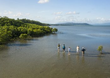 Down Under Tours, Mossman, QLD