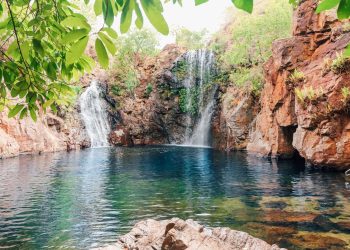 From Darwin Litchfield National Park Day Tour with Optional Lunch