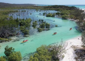 Full-Day Guided Tour of Remote K'gari (Fraser Island)