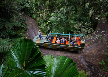 Full-Day Tour of Rainforestation Nature Park from Cairns