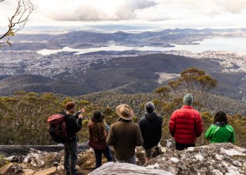Guided Tour of Mt Wellington