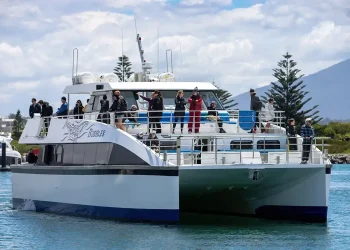 Sydney Whale Watching Cruise