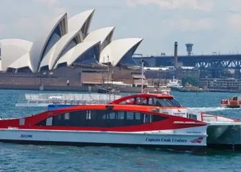 Sydney Whale Watching Cruise on Catamaran by Captain Cook
