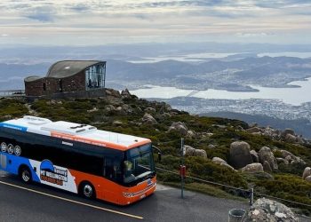 bus